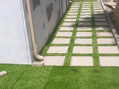 Property Maintenance